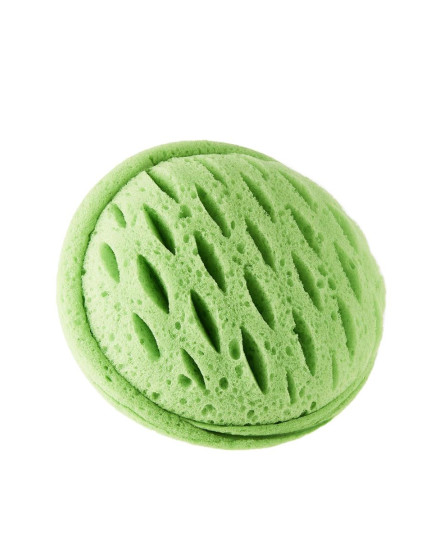 Shower Sponge Aloe