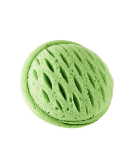 Burete dus - Shower Sponge Aloe