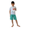 SET SUNGLASSES LLAMA GREEN