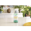 Multi Surface Ecolabel 500 ML Stanhome
