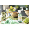 Multi Surface Ecolabel 500 ML Stanhome