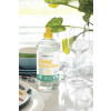 Shine Booster Ecolabel 750 ML Stanhome